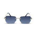 The Amber vision Sunglasses