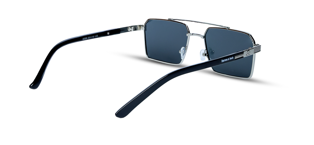 The Sterling Sentinel Sunglasses