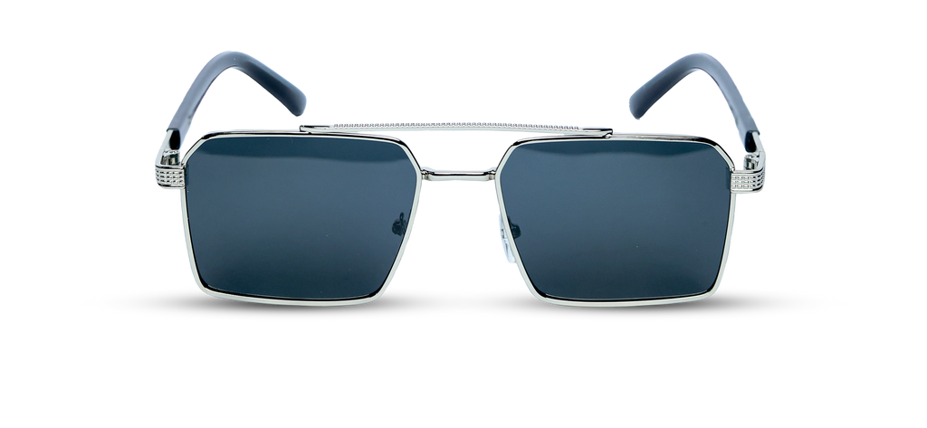 The Sterling Sentinel Sunglasses