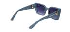 The Glacier Gate Sunglasses