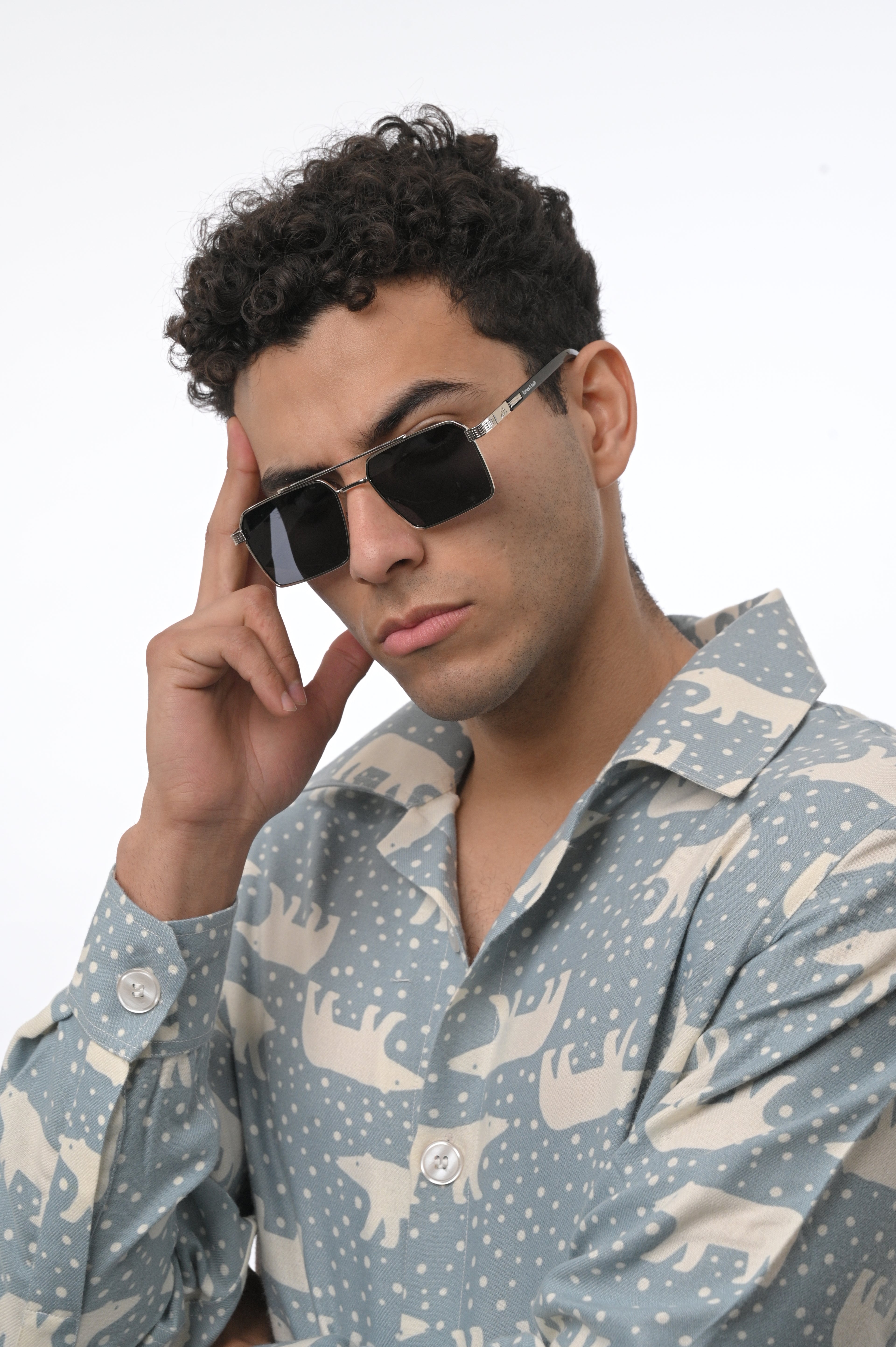 The Sterling Sentinel Sunglasses